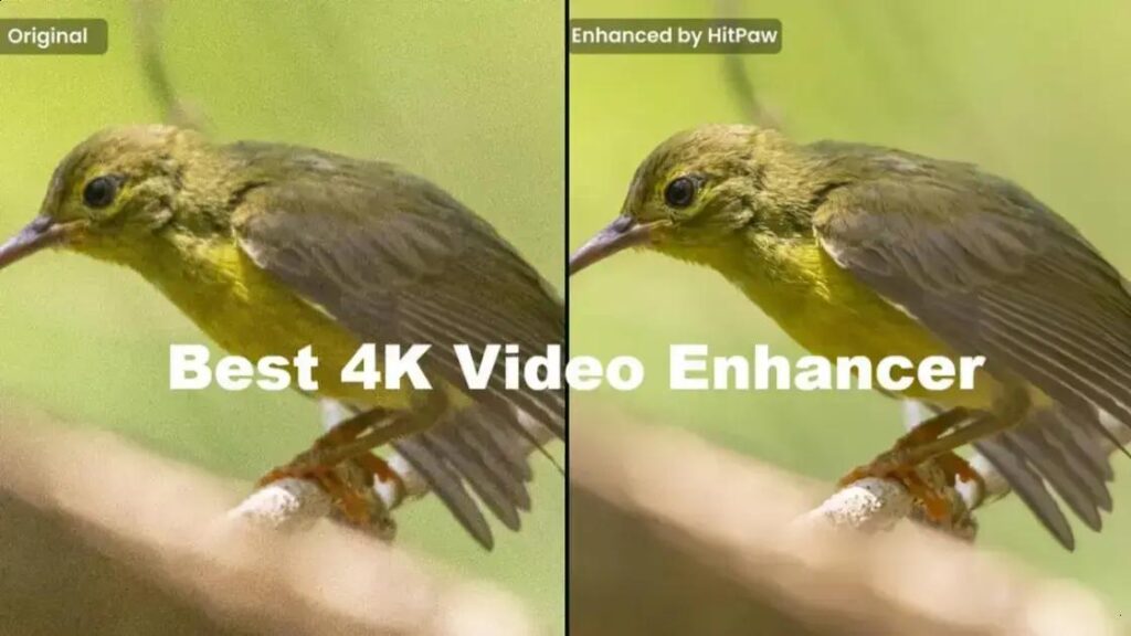 HitPaw VikPea: A Revolução na Melhoria de Vídeos com IA