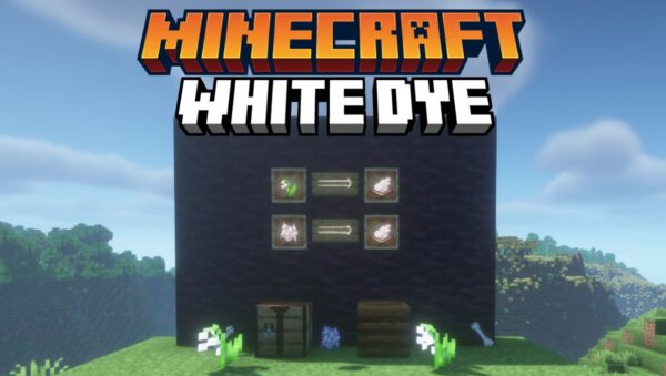 Tinta Branca Minecraft - Como Obter Tinta Branca no Minecraft