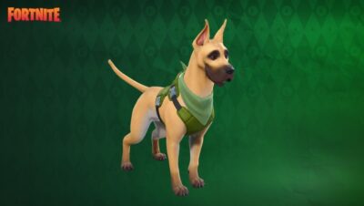 Dane Sidekick - Como Conseguir Grátis The Dane Sidekick no Fortnite