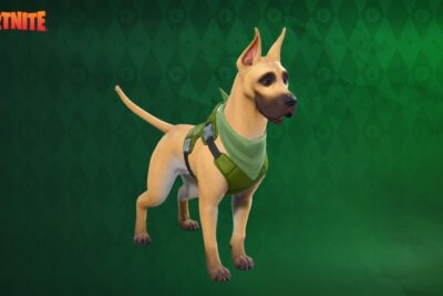 Como Conseguir Grátis The Dane Sidekick no Fortnite